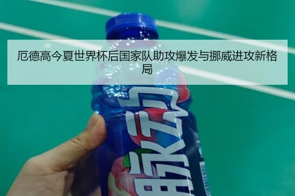 厄德高今夏世界杯后国家队助攻爆发与挪威进攻新格局
